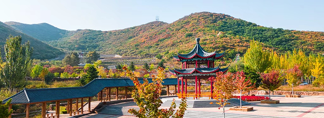 天秀山森林公园第 4 张图片
