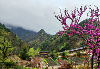 秦岭天竺山生态文化旅游景区第 53 张图片