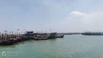 张家台码头出海捕鱼第 4 张图片