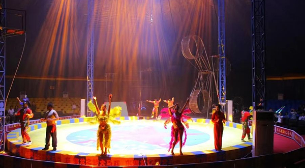 东夷龙之梦国际大马戏