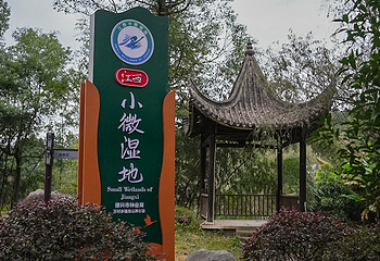 养心谷草本温泉度假村第 10 张图片