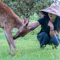 南北湖·小鹿营地