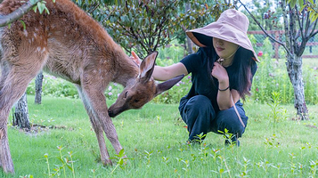 南北湖·小鹿营地