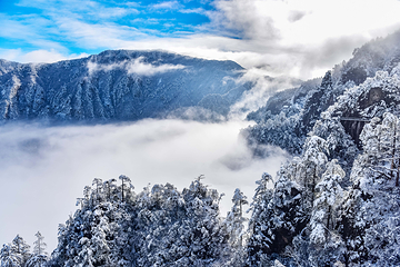 大明山万松岭滑雪场第 11 张图片