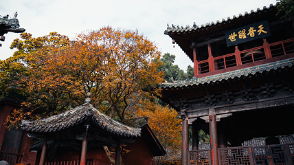 平武报恩寺第 12 张图片