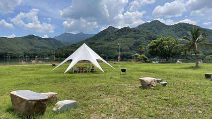 天湖鹭鸟生态风景区第 7 张图片