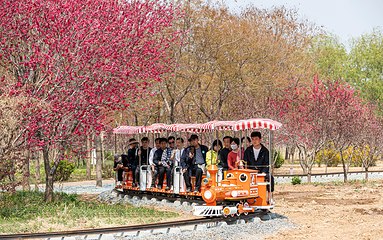 吴桥大运河文化带旅游区第 18 张图片