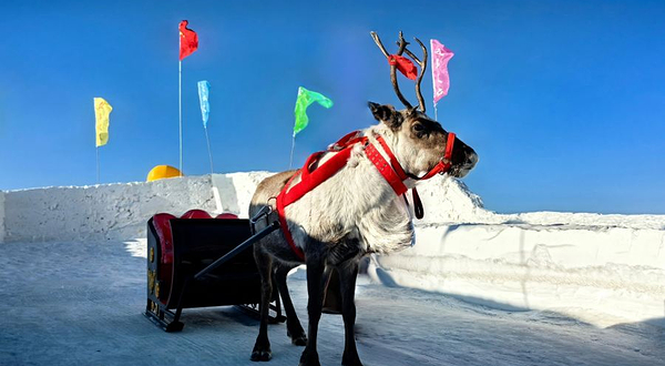 四季车咕鹿游乐园