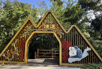 霸王岭第 20 张图片