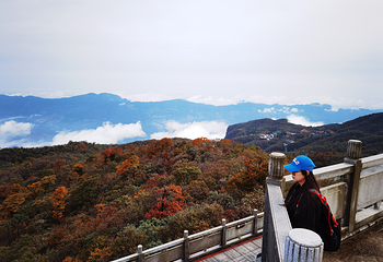 天门山国家森林公园第 179 张图片