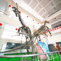 山东省天宇自然博物馆