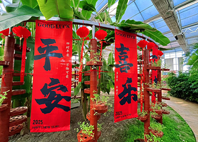 唐山运河冰雪大世界