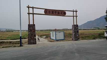 正念里千亩花海第 1 张图片