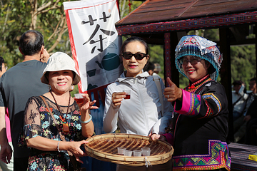 普洱茶马古道遗址公园第 28 张图片