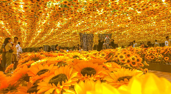 【南京】《不一样的毕加索》大师作品展