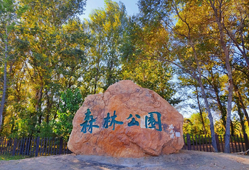 盘锦森林公园第 46 张图片