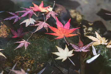 下渚湖·奇幻谷第 128 张图片