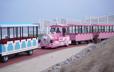 布鲁维斯环海游第 6 张图片