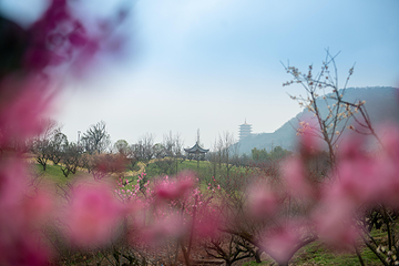牛首山文化旅游区第 307 张图片