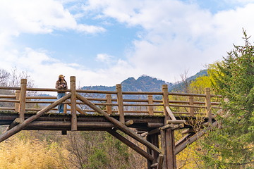 九如山休闲旅游度假区第 138 张图片