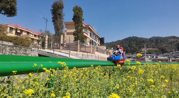 镇北艺术田园景区