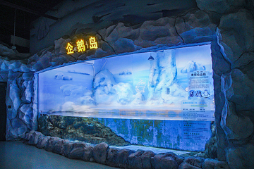 南京海昌海洋探索馆第 53 张图片