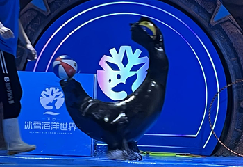 下沙奥莱冰雪海洋世界第 15 张图片