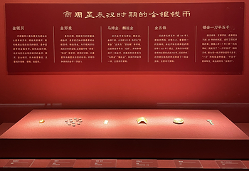 西安市镐金古金银铜器博物馆第 16 张图片