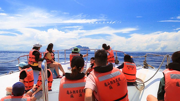 赏鲸趣 龟山岛赏鲸
