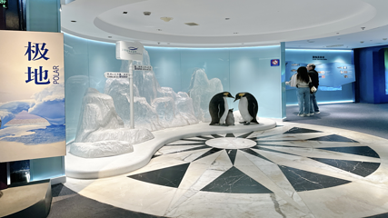 上海海洋水族馆第 31 张图片