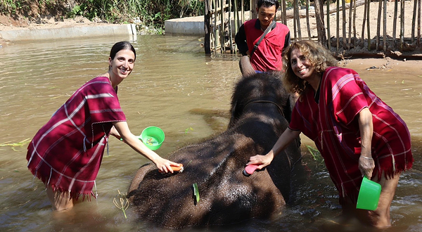 Bamboo Elephant Family Care