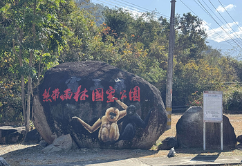霸王岭第 57 张图片