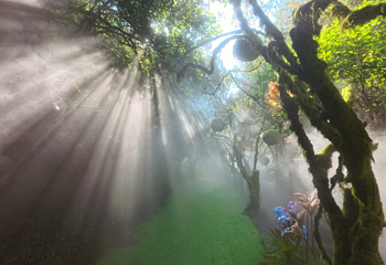 日照天台山风景区第 7 张图片