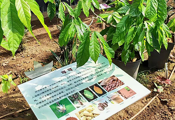 2898戴河冰巧乐园第 22 张图片