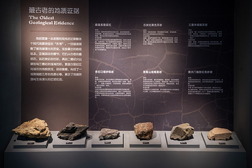 三亚恐龙博物馆第 33 张图片
