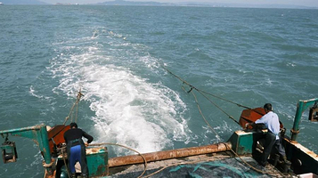 头号玩家温州出海捕鱼海钓体验中心