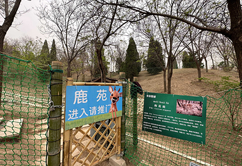 卡尔牧场·山林溪谷第 2 张图片