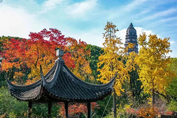 虎丘山风景名胜区第 28 张图片