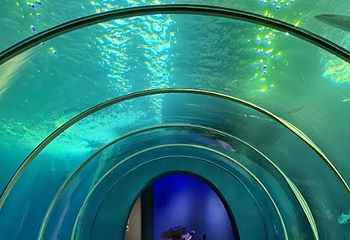 澎湖水族馆第 10 张图片