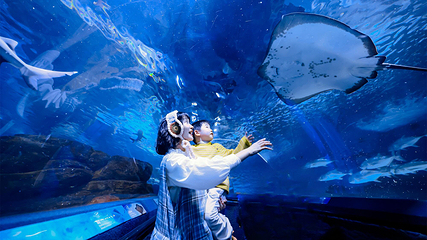 上海海洋水族馆第 21 张图片
