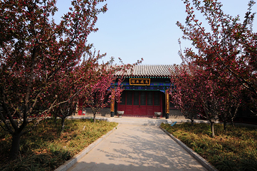 武定府衙景区第 139 张图片