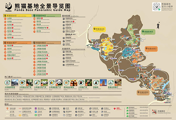 成都大熊猫繁育研究基地第 3 张图片