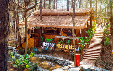 茅山森林世界第 69 张图片