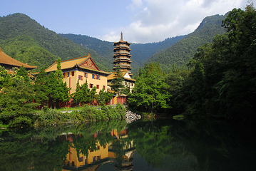 天目山自然保护区第 30 张图片