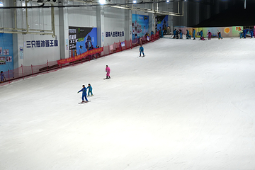 三只熊冰雪王国第 35 张图片