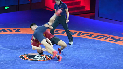 跤乡头羊•挠羊摔跤馆第 27 张图片