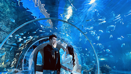宁夏幻太奇海洋公园第 9 张图片
