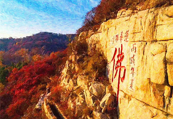 莲华胜境第 8 张图片