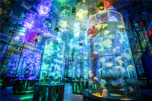 济南融创海世界