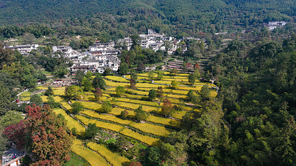 塔川第 78 张图片